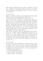 [마케팅]국제마케팅관리 및 국제마케팅성공사례-8
