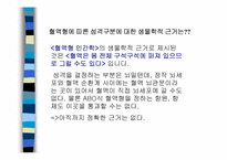 [심리학] 혈액형-10