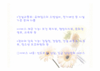 [사회복지] 매매춘여성복지- 성매매특별법 이후-9