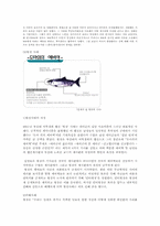 [사이버문제] 사이버마쵸이즘과 페미니즘적 시각에서의 고찰-3