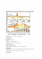 [성심리] 피임과 성관계-4