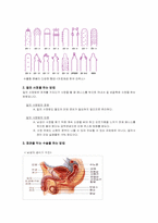 [성심리] 피임과 성관계-8