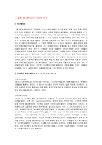 [일본문화] 일본의 영상문화(애니메이션)-1