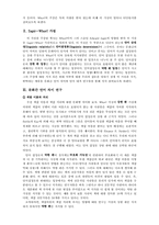 [언어심리학] 언어와 사고의 관계-2