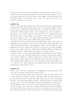 [교육철학] 교육철학의 성격과 기능-4