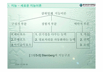[교육심리] 지능과 창의력-7