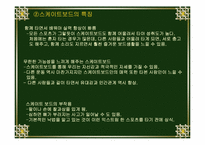 익스트림스포츠-16