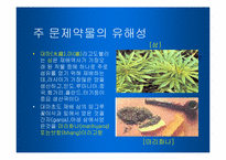 [사회복지] 약물중독-7