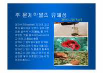 [사회복지] 약물중독-8