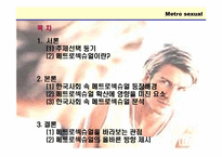 메트로섹슈얼 레포트-2