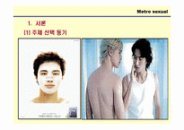 메트로섹슈얼 레포트-3