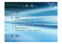 [국제사회학] 국제테러조직과 그 대응방안-2