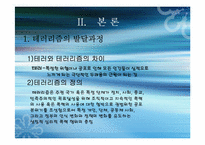 [국제사회학] 국제테러조직과 그 대응방안-4