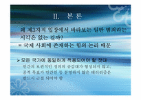 [국제사회학] 국제테러조직과 그 대응방안-11