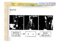 [성상품화] 대중매체와 남녀의 이미지-8