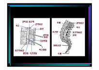 [의료사회사업] 신경외과수술거부 사례에 따른 사회복지사의 개입-10