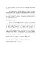 [대통령선거광고] 2004 미국대선에 나타난 정치광고의 유형 분석-6