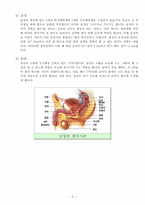 [성심리학] 결혼과 성의 심리학-7