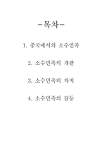 [중국사회론] 소수민족의 현황-2