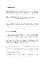 한국의 가상공동체-5