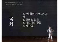 태양의 서커스 성공전략(블루오션 전략)-2