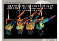 태양의 서커스 성공전략(블루오션 전략)-9