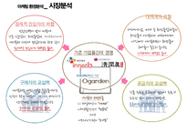 아모레퍼시픽의 오가든(ogarden) 마케팅전략과 이너뷰티시장(inner beauty market)-12