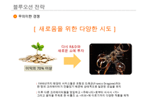태양의 서커스 성공 경영 전략(가치혁신 전략)-15