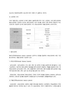 [뇌의 구조와 기능] 뇌구조, 뇌기능 - 뉴런, 신경계의 조직(말초신경계와 중추신경계), 뇌의 일반기능-4