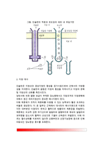[당뇨병] 당뇨병의 원인(요인)과 증상, 당뇨병의 대사 및 진단, 당뇨병 분류(종류)-4