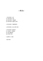 에어비앤비 airbnb 서비스개요와 에어비앤비 서비스전략및 경영전략분석과 에어비앤비 향후시사점연구-2
