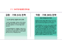현대백화점 기업분석과 SWOT분석및 현대백화점 기업상황분석과 문제점분석및 현대백화점 향후전략제안 PPT-17