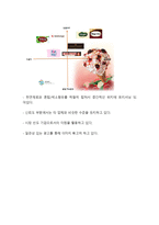 [베스킨라빈스 마케팅사례연구] 배스킨라빈스 기업분석과 성공요인분석및 배스킨라빈스 마케팅 SWOT,STP,4P전략분석과 배스킨라빈스 향후전략 제안-9
