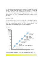 [미국 외식산업의 분류] 미국의 외신식업 분류(유형, 종류)-5