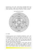 [사회체계이론] 생태학이론(생태체계이론, 생태학적 이론) - 생태학이론의 환경, 생태학이론의 체계, 브론펜브레너 이론의 평가-4