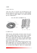 [소장질환] 소장의 구조와 기능 및 소장질환(급성장염, 만성장염, 크론병-국부성 장염, 글루텐 과민성 장질환, 열대성 스푸루, 이당류 흡수불량증)-2