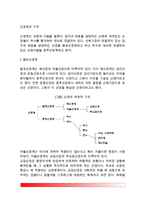 [신경계 구조] 신경계의 구조와 기능(말초신경계, 중추신경계)-2