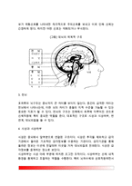 [신경계 구조] 신경계의 구조와 기능(말초신경계, 중추신경계)-5