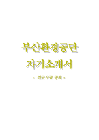 부산환경공단자기소개서+면접기출문제,부산환경공단(9급공채신입)자소서,부산환경공단합격자기소개서,부산환경공단자소서항목,부산환경공단면접질문,부산환경공단지원동기-1