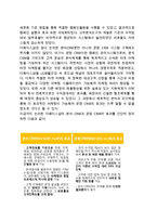[더페이스샵 마케팅 사례연구] 더페이스샵 기업분석과 성공요인분석및 더페이스샵 마케팅전략과 SWOT,STP분석및 더페이스샵 향후전략제안-13