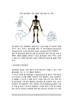 [골다공증] 골다공증의 병인(원인)과 관련인자(요인), 골다공증 치료방법과 식사요법(식이요법)-3