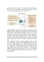[신경계 질환] 신경계 질환의 종류(유형)와 치료방법 - 뇌졸중(뇌출혈,뇌경색), 간질, 치매, 편두통, 중증근무력증의 원인과 증상 및 치료 식이요법(식사요법)-9