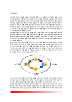 [아동발달이론] 아동발달의 이론적 관점 - 정보처리이론, 동물행동학적 이론, 생태학적 체계이론, 사회문화적 이론-2