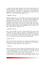 [아동발달이론] 아동발달의 이론적 관점 - 정보처리이론, 동물행동학적 이론, 생태학적 체계이론, 사회문화적 이론-6