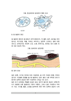 [암의 개념] 암의 정의와 증상, 암 발생의 원인(요인)-4