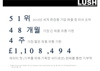 러쉬 마케팅{lush marketing}-6