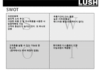 러쉬 마케팅{lush marketing}-11