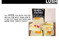 러쉬 마케팅{lush marketing}-16