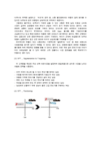 도루코 기업소개 및 마케팅전략 제안[국내 토종 면도기 브랜드]-11