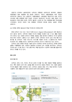 도루코 기업소개 및 마케팅전략 제안[국내 토종 면도기 브랜드]-14